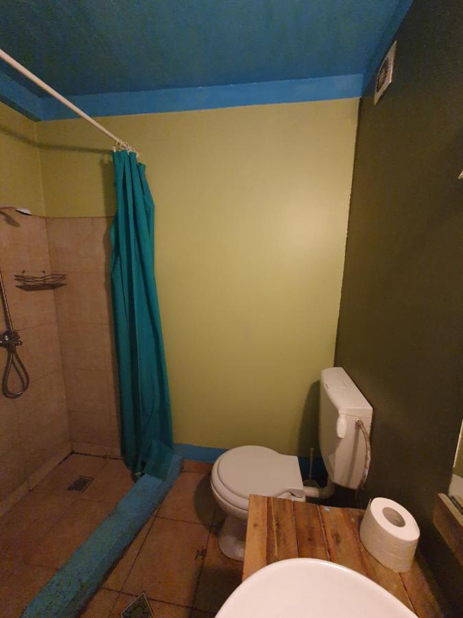 Zen Hostel Cluj-Napoca Exteriör bild
