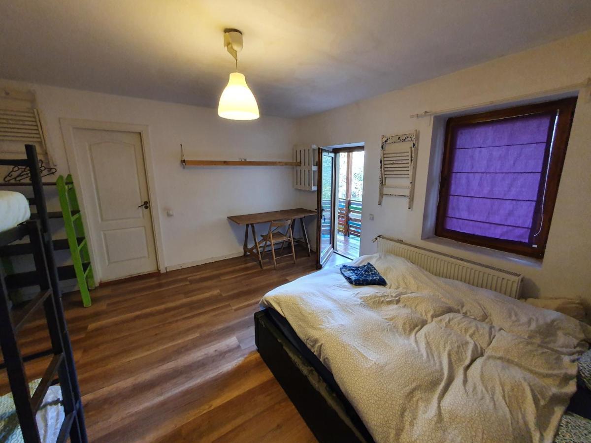 Zen Hostel Cluj-Napoca Exteriör bild