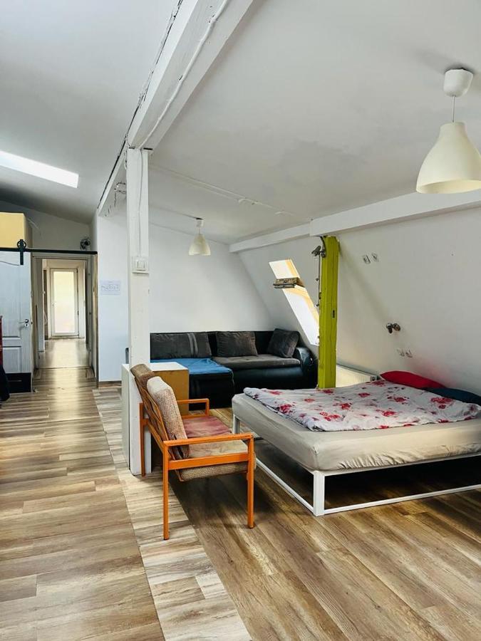 Zen Hostel Cluj-Napoca Exteriör bild