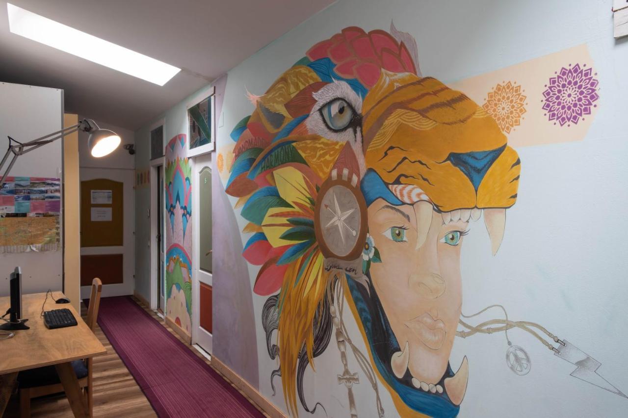 Zen Hostel Cluj-Napoca Exteriör bild